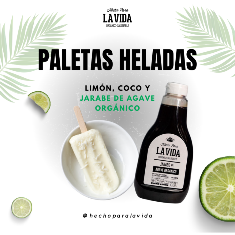 receta-paleta-helada